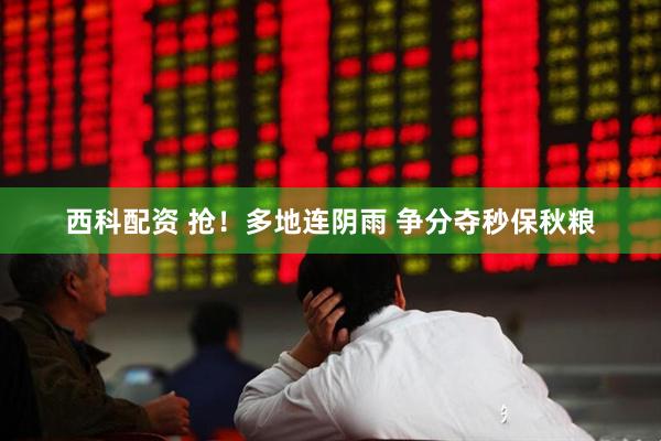 西科配资 抢！多地连阴雨 争分夺秒保秋粮